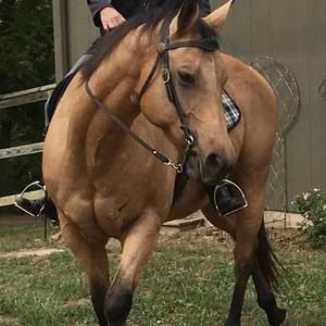 Meet your Posher, Cynda